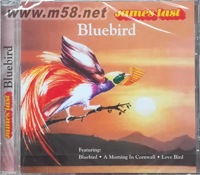 BLUEBIRD天堂鳥(niǎo)專輯正面圖片