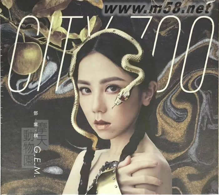 摩天動物園專輯正面圖片