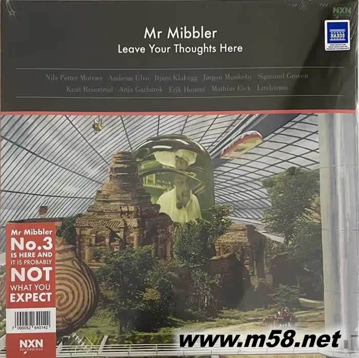 LPMR MIBBLE把你的想法留在這里 LEAVE YOUR THOUGHTS HERE 黑膠專輯正面圖片