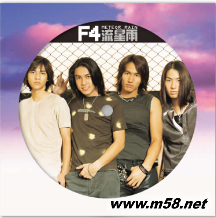 流星雨 (25周年紀念版照片彩膠 黑膠)專輯正面圖片